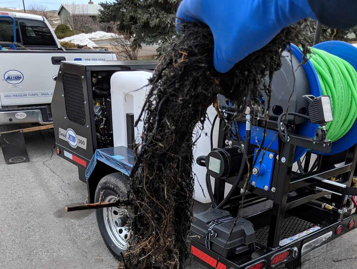 Back to School Season is Root-Intrusion Season for Pipes!