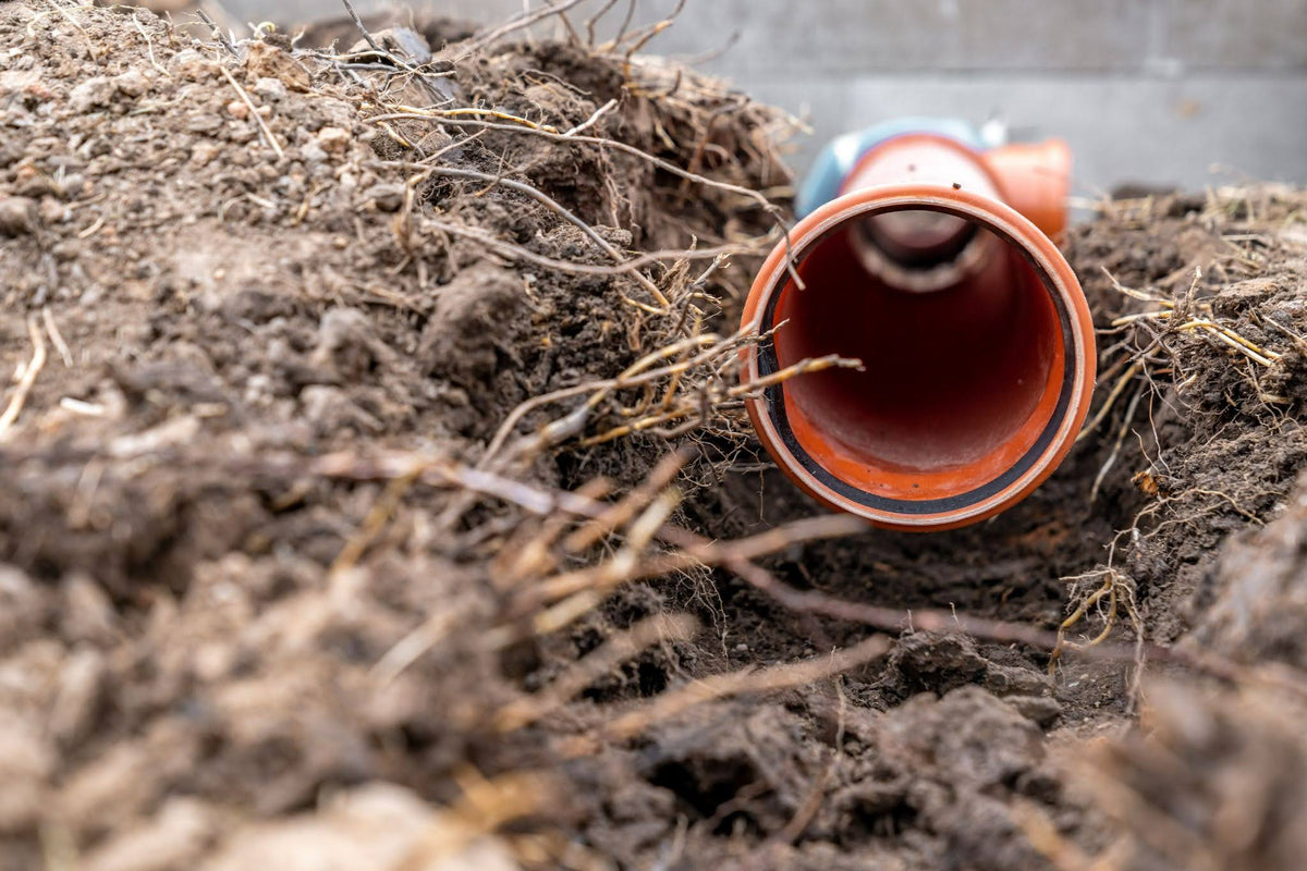 Techniques for Clearing Tree Roots with a Sewer Jetter Nozzle